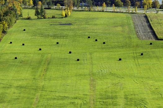 Farm field with bails of hay