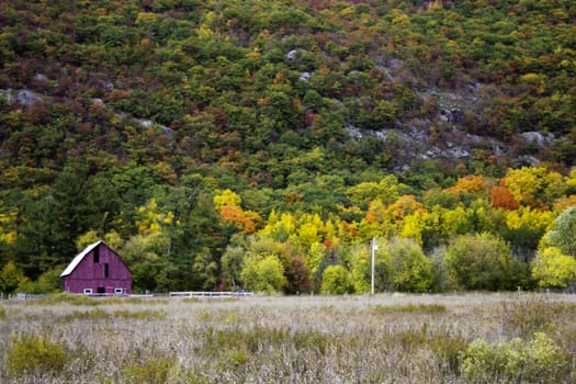 Old barn in the field