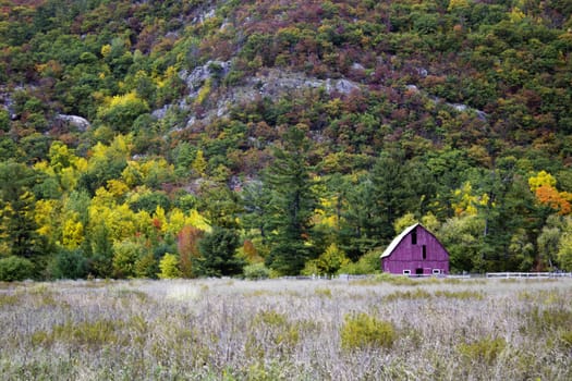 Old barn in the field