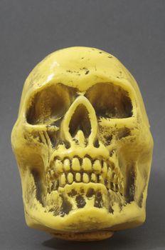 An Ancient Yellow Skull on a Colored Background