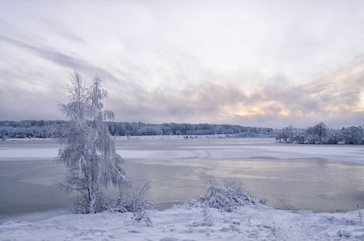 Winter evening landscape with a lake and trees in the frost
