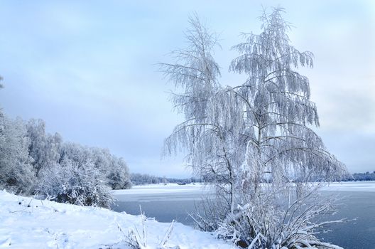 Winter landscape with trees, covered with hoarfrost and views on the frozen lake