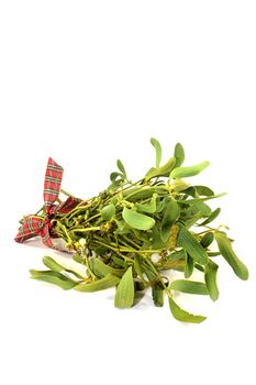 a bunch of mistletoe against white background