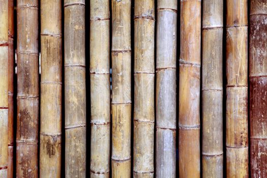 background from old bamboo sticks, wood texture