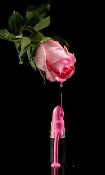 Concept of pink rose melting to form lipstick