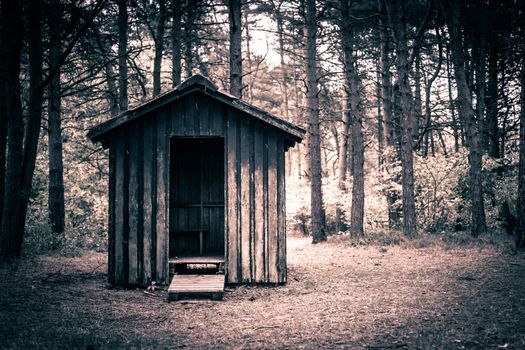 Spooky cabin in a dark and mysterious forest