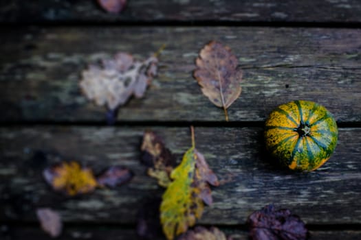 Colorful autumn pumpkin on a wooden background