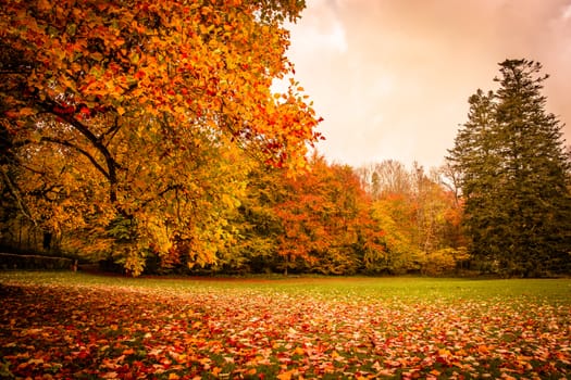 Beautiful autumn landscape in warm colors