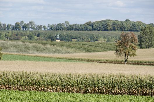 Landscape in Saxony, Germany, with corn fields, hills and church