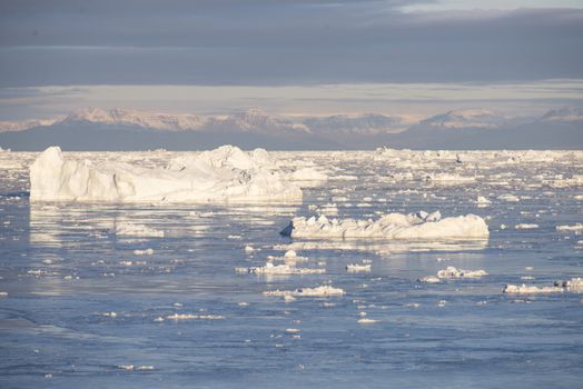 Beautiful Icebergs in Disko Bay Greenland around Ilulissat