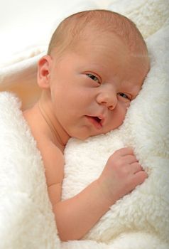 alert newborn baby or infant on fluffy white blanket