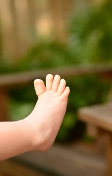 isolated newborn baby foot and toes