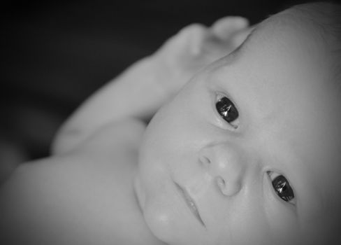 close up of newborn baby with bright eyes