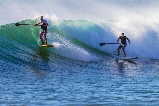 Surfers surfing riding sup boards on good size clean wave.