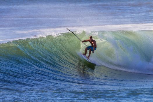 Surfer surfing riding sup board on good size clean wave.