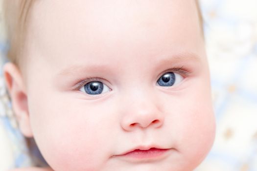 Six months old baby girl closeup portrait. Shallow depth of field