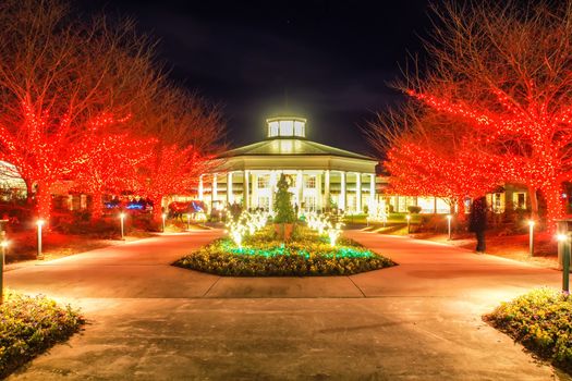 garden night scene at christmas time in the carolinas