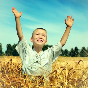 Toned photo of Happy Kid in the Wheat Field