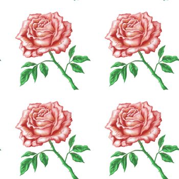 Seamless pattern, flowers rose, isolated on white background, acrylic, hand-draw painting
