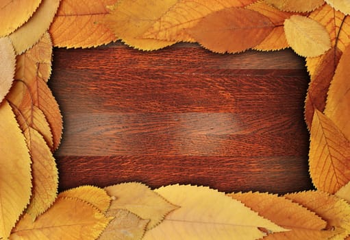 abstract frame made from cherry golden autumn leaves on beautiful wooden backdrop