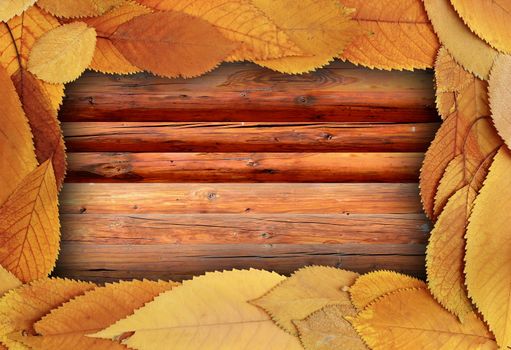 gold leaves on wood table, thanksgiving autumn backdrop