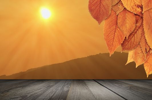 nature autumn backdrop with wood table under cherry tree