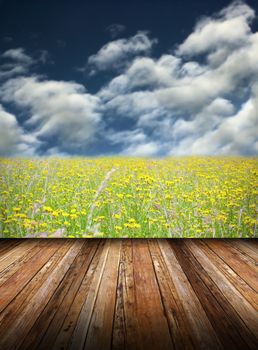 view to natural field from old wooden veranda