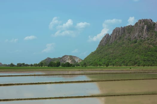 rming areas of the house adjacent to the mountains