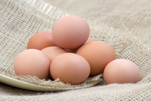 eggs