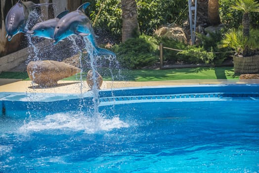 Dolphins jumping high in the air and it looks like they are flying. All the photos are shot July 25, 2013