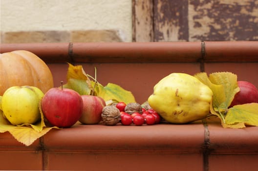 Autumn still life with pumpkin, nuts, apples, leaves, berries.