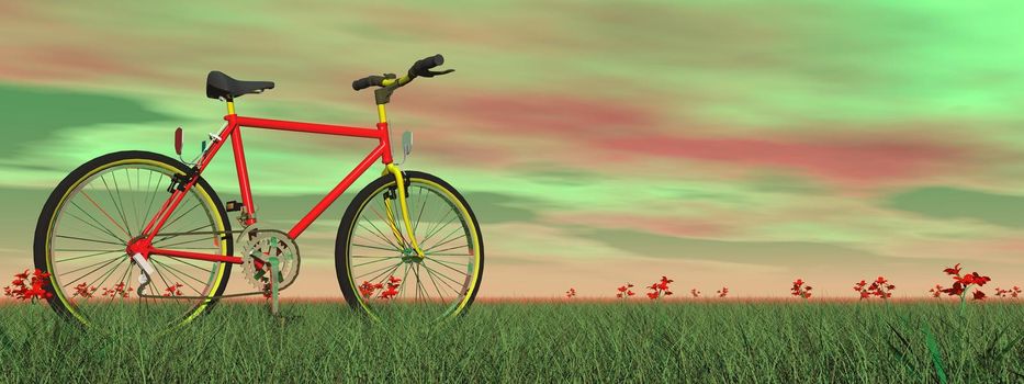 Red mountain bike on green grass with little flowers by colorful sunset