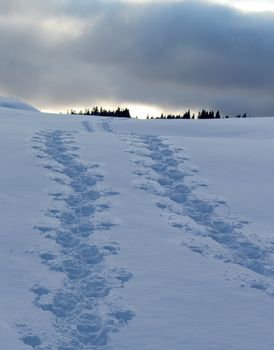Two lines of footsteps in the snowy mountain by cloudy winter weather