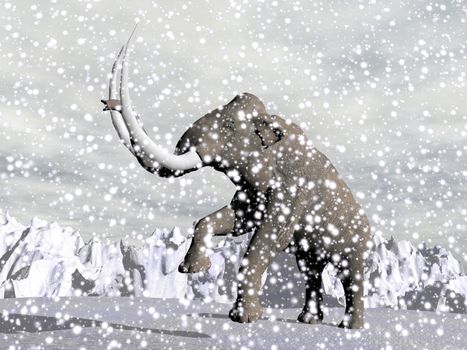 Mammoth walking in the mountain by snowing winter weather