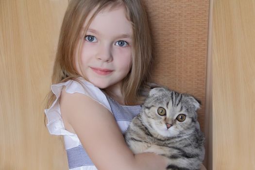 Portrait of beautiful girl with grey kitty
