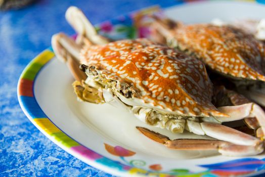 Steamed crabs on the plate