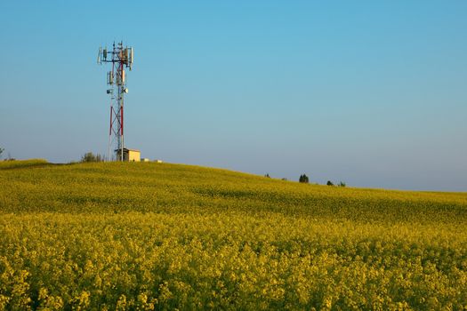 Transmitter tower above a blooming rapeseed field