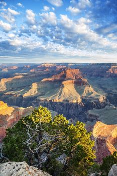 Grand Canyon with morning light, USA