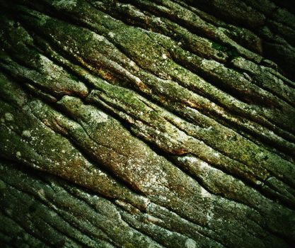 texture or background old wrinkled dark green sandstone