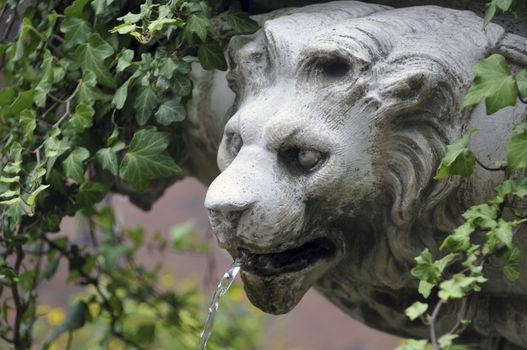 lion head sculpture with small water stream from mouth between green leafs