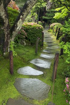 wet stone pathway in Japanese Zen garden  by summer