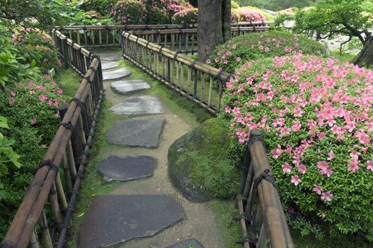 blossom azalea bushes and wet stone way in zen garden