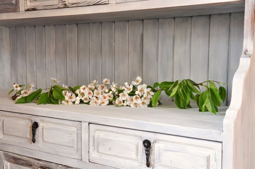 Flowering pear branch in an old shabby chic cabinet.
