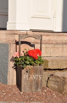 Red and pink flowers in a rustic wooden pot outside a house.