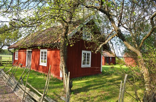 Red cottage whit typical swedish fence in spring.