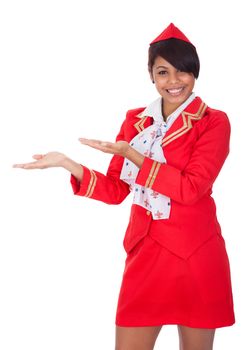 Portrait of young beautiful stewardess. Isolated on white