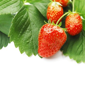 Strawberry with leaves isolated on white background