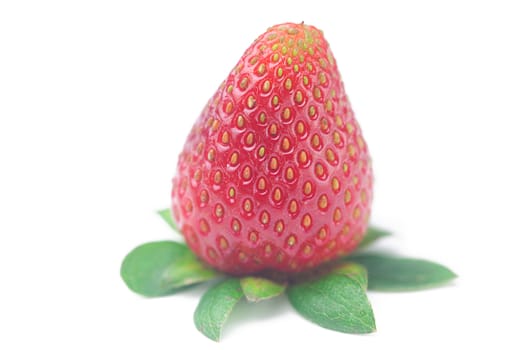 Beautiful ripe strawberry isolated on white