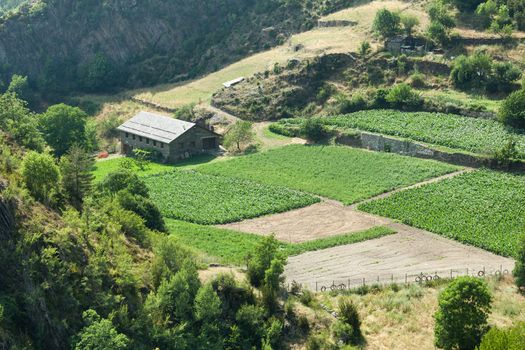 House on the green hill in mountains