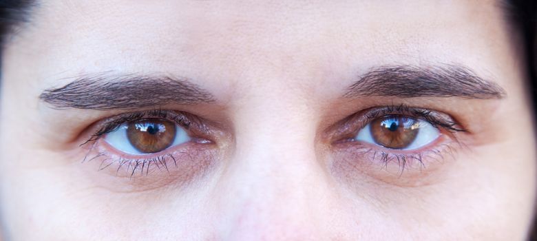 brown eyes of a young beautiful woman closeup